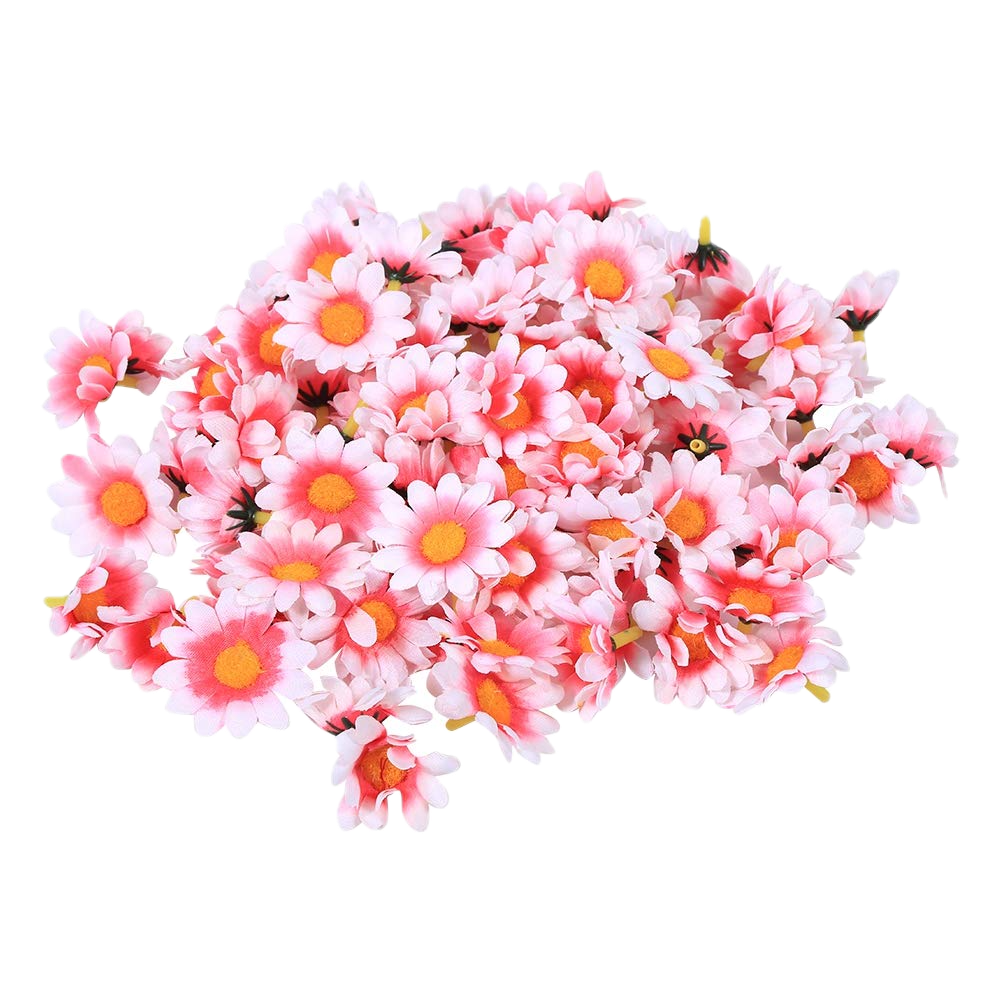 Fotografía de Margarita