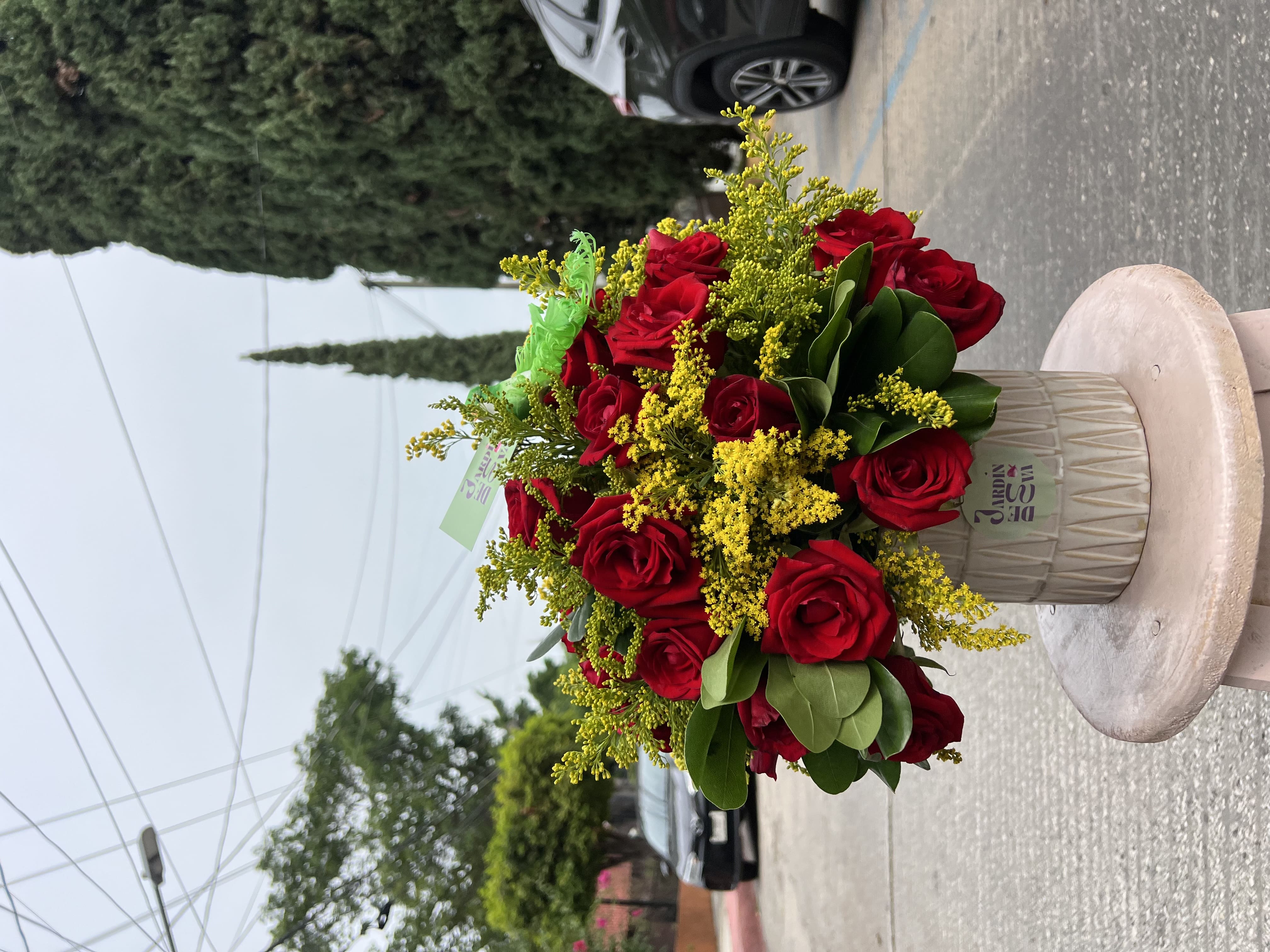 Gala de Jardín